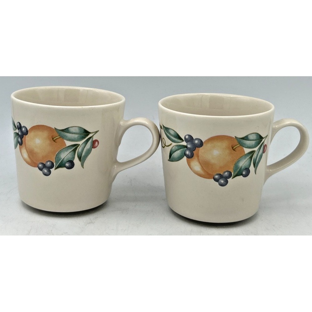 2 Corelle Coordinates Abundance Pattern Coffee Mugs Stoneware 8 Oz